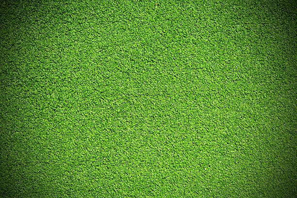 istockphoto 512626386 612x612 1